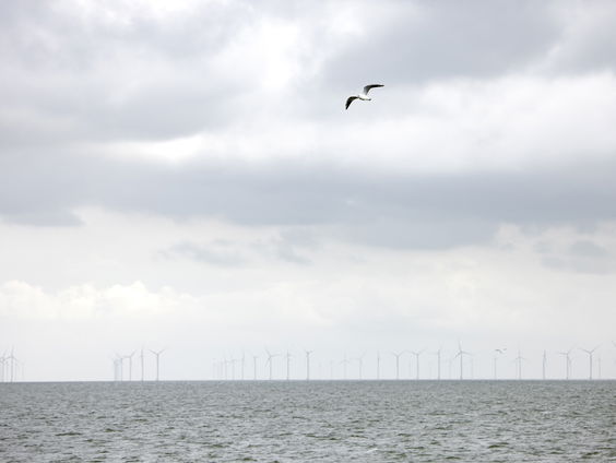 Crowdfunding op poten gezet om UK58 alsnog te vinden