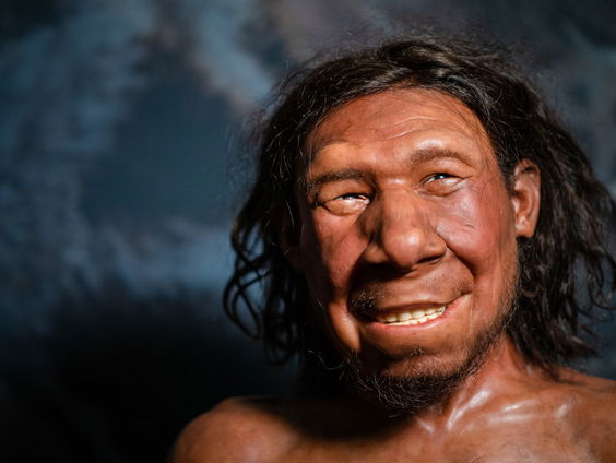 Terug in de tijd in het Rijksmuseum van Oudheden