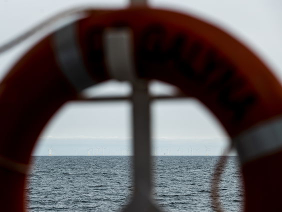 De Tijdscapsule: Irene Kingma over Noordzee riffen