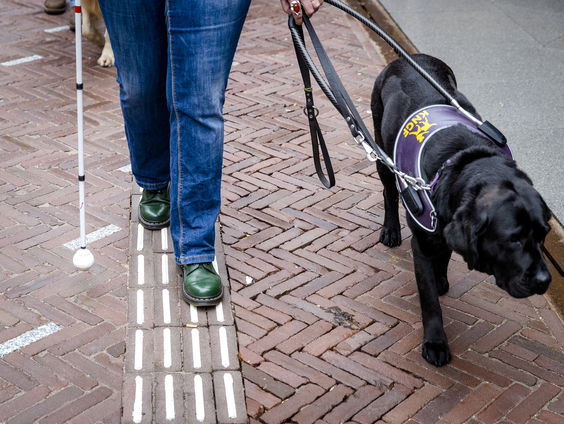 Situatie voor mensen met beperking verslechterd in Nederland