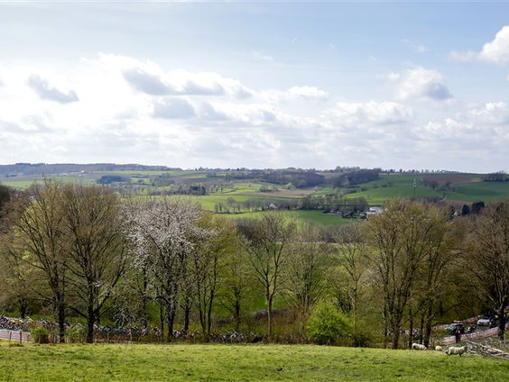 'Limburgers voor beginners' is een gids voor het omgaan met Limburgers