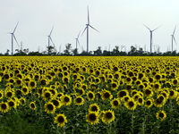 Opgeknapte windturbines uit Nederland moeten Oekraïne helpen aan broodnodige stroom