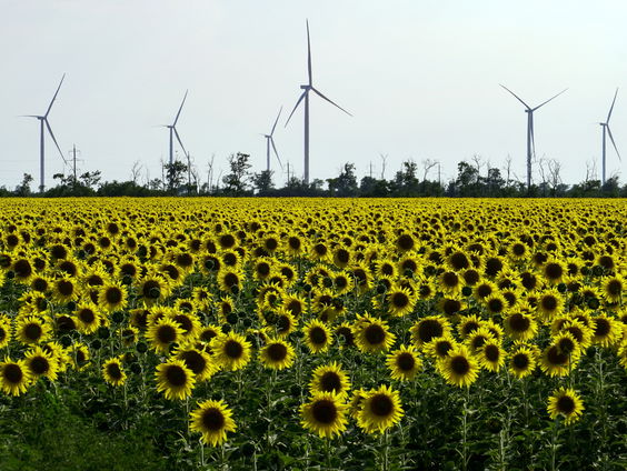Opgeknapte windturbines uit Nederland moeten Oekraïne helpen aan broodnodige stroom