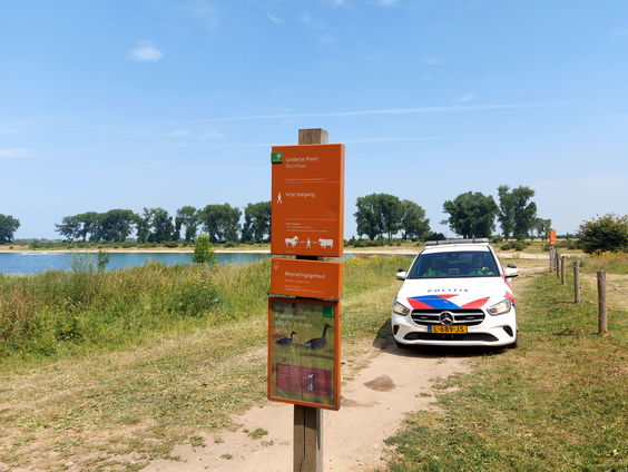 Deskundige tipt de drie mooiste bossen in Nederland