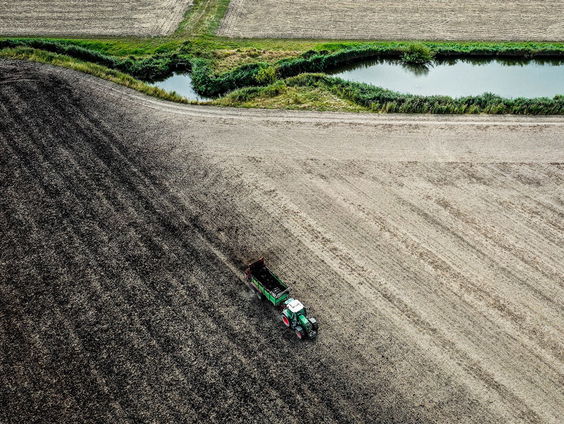 Hoe schadelijk zijn pesticiden?