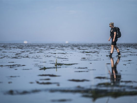 80-duizend beterschapskaarten voor de natuur gaan naar Den Haag