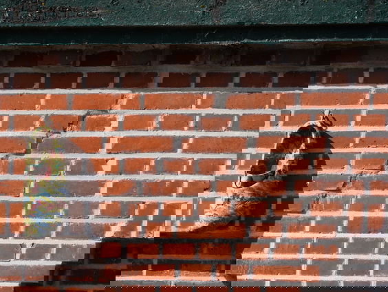 Nederlandse Aardolie Maatschappij wordt niet vervolgd voor opzettelijk beschadigen van Groningse gebouwen