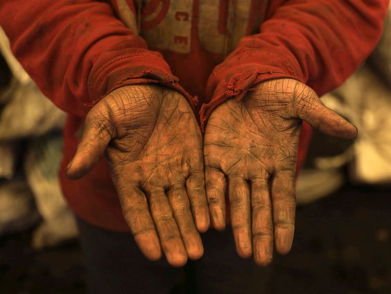 Terug naar Toen: Eerste tv-uitzending Wilde Ganzen