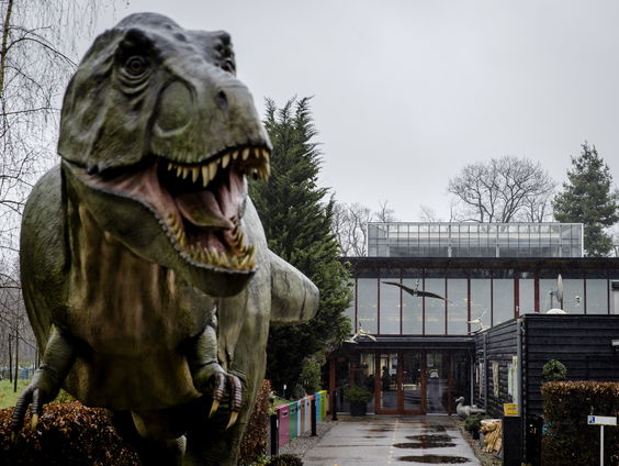 Hoe ziet een opgezette metoposaurus eruit?