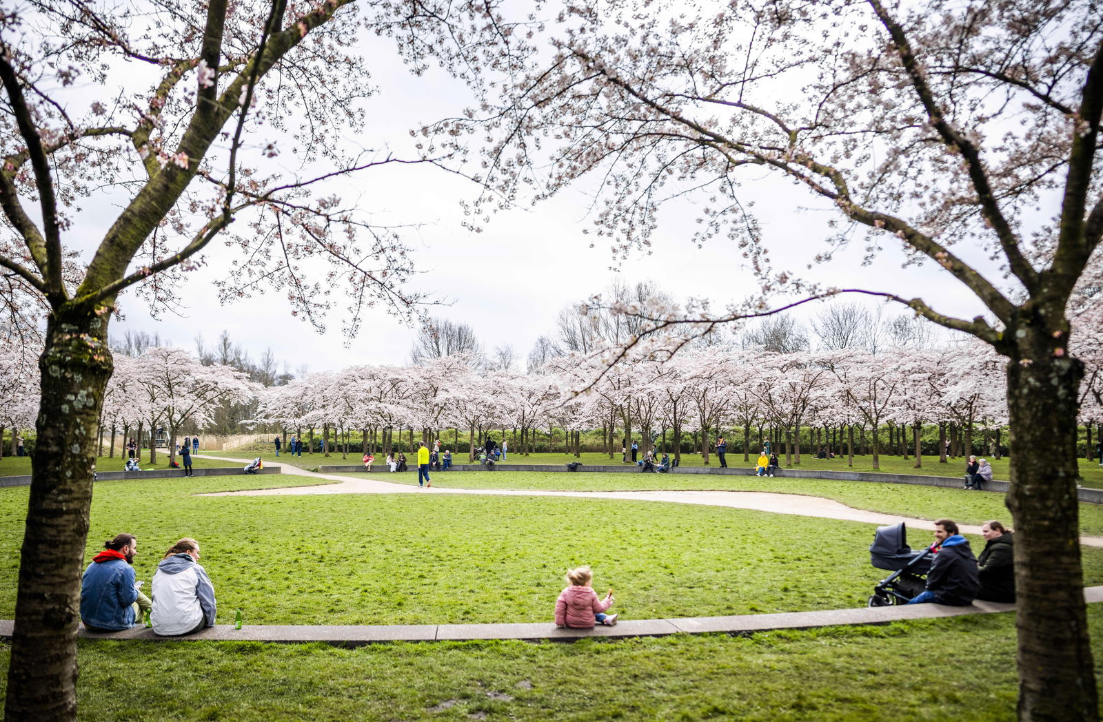 Wandelpaden Amsterdamse Bos vervuild door staalslakken