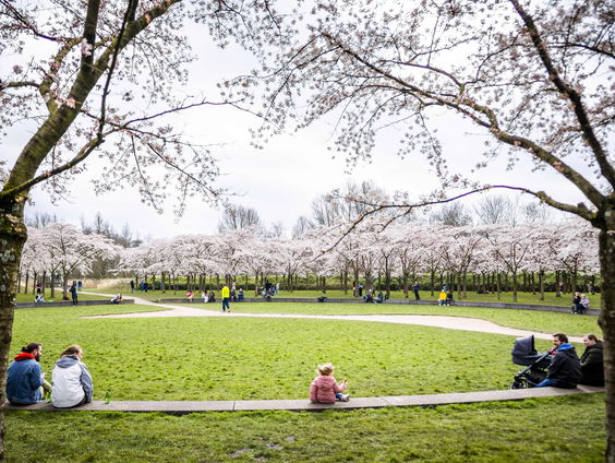Wandelpaden Amsterdamse Bos vervuild door staalslakken