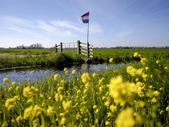 Huisvriend Rick Middelbos over bloemrijke akkerranden