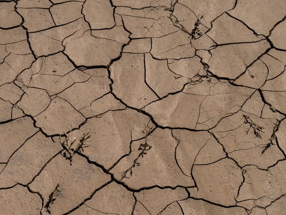 De woestijn rukt op in Marokko