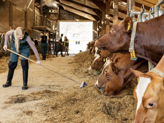 Boeren en boerinnen in beeld: Vesta Kauffman over de kalender van 2025