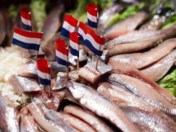 Voorzitter Gerbrand over de officiële opening van het haring seizoen