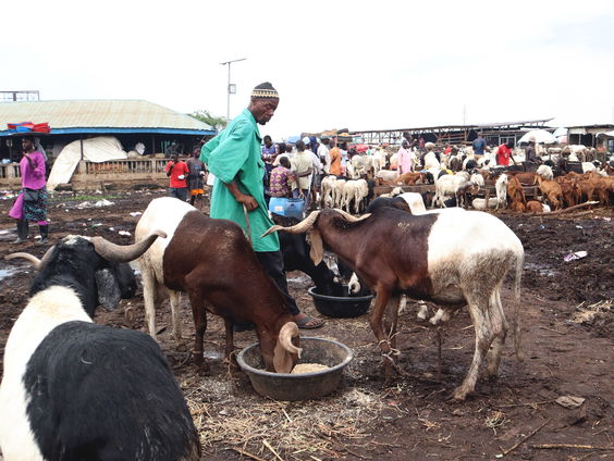 Senegal viert offerfeest