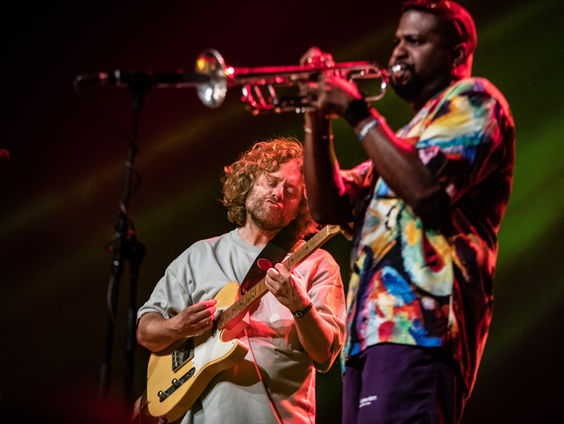 Jazzzomer in volle bloei