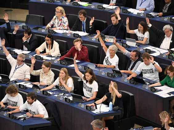 Wat gaat de natuurherstelwet betekenen voor Nederland in de praktijk?