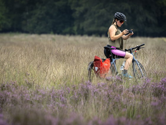 Coalitieakkoord zijn volgens PBL gefocust op het 'hier en nu'