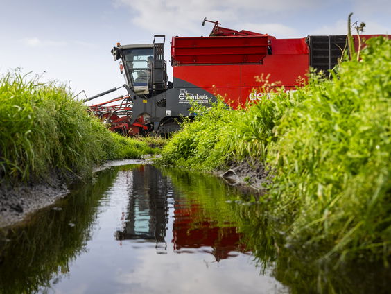 Hoe een oplossing voor stikstofprobleem weer tot watervervuiling leidt