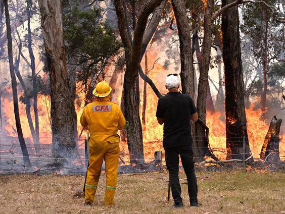 Wat betekenen deze hevige branden voor het voorbestaan van de Pantanel in Brazilië?