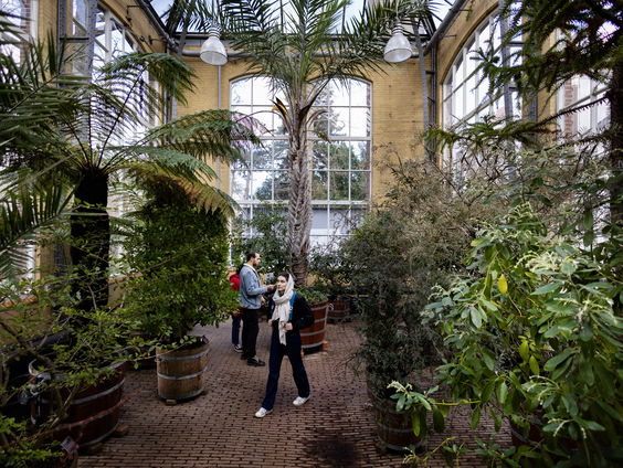 Terug naar Toen: Linnaeus publiceert zijn Species Plantarum