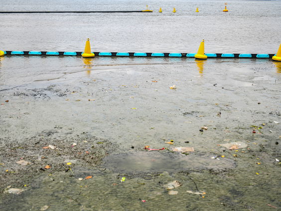 Microplastics op je bord, echt niet zo erg!