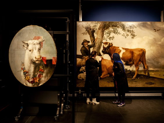 Grootste schilderij van het Mauritshuis opnieuw onder de loep genomen