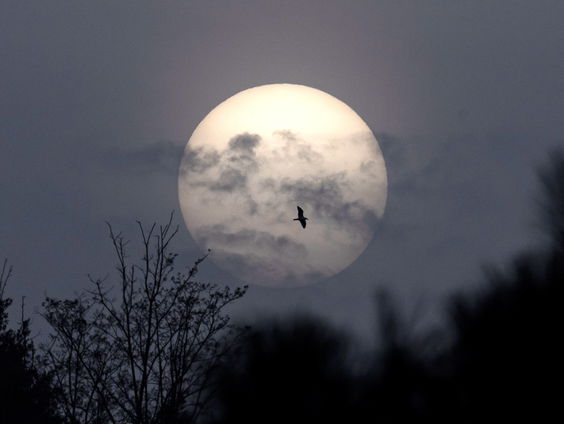 Waarom heeft de maan een tijdstandaard nodig?