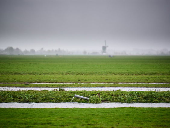 Wat gaan we merken van de Europese natuurherstelwet?