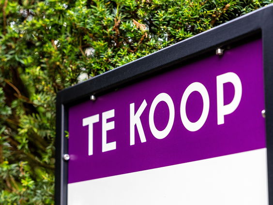 Kan de staat het woonprobleem oplossen?