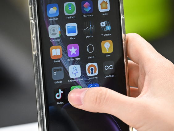 Deze stem klinkt als je zus, maar is het niet!