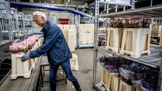 Steeds meer AOW'ers blijven aan het werk