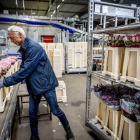 Steeds meer AOW'ers blijven aan het werk