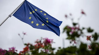 Brussel Bij Nacht: meer of minder Europese regels?