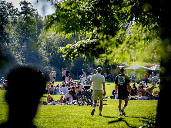 'Zonnestralen belangrijk voor het blije gevoel'
