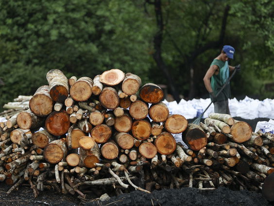 Wat betekent de ontbossingswet voor Europese bedrijven?