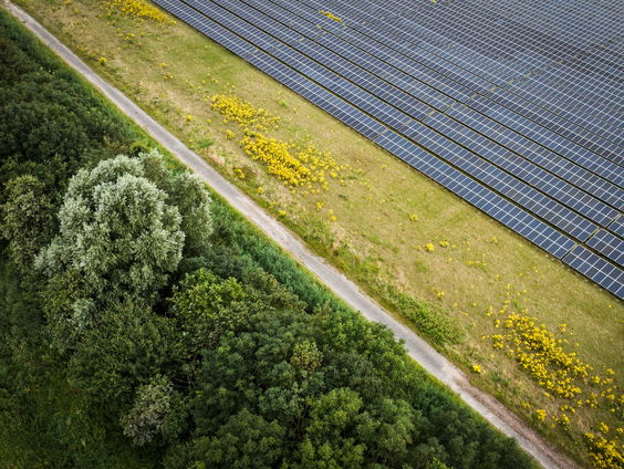 Progressieven tegen vooruitgang