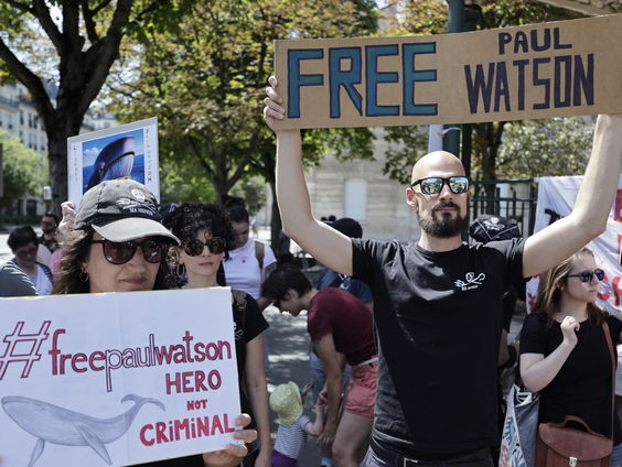 Uitlevering van walvisactivist Paul Watson is gevoelige kwestie in Denemarken