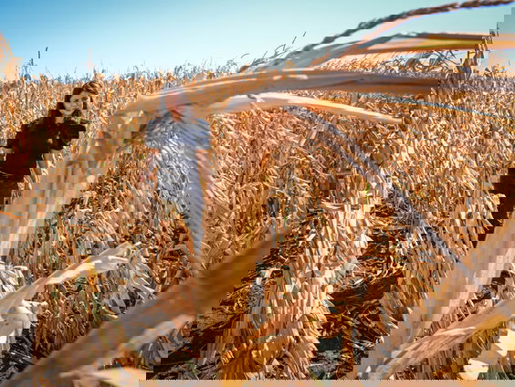 Europa is het snelst opwarmende continent