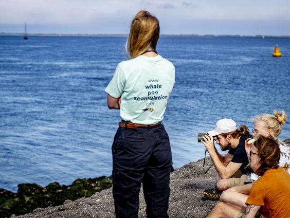 Eerste walvistellingen in het buitenland