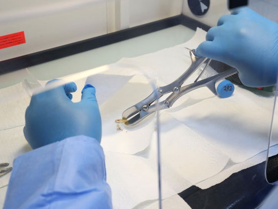 Vernieuwd DNA-laboratorium in Den Haag voor identificatie stoffelijke resten