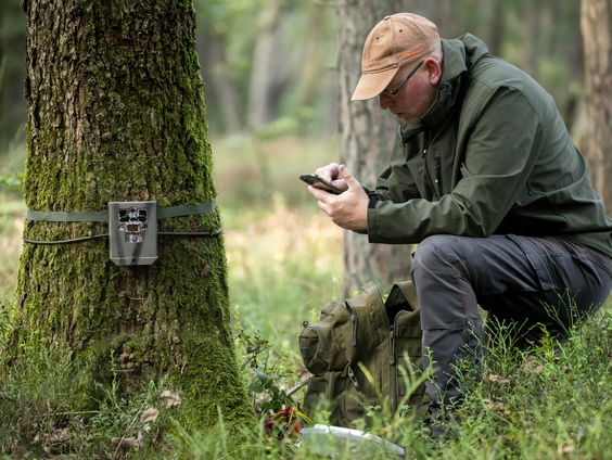 Wolven op de Utrechtse heuvelrug vanaf nu gezenderd