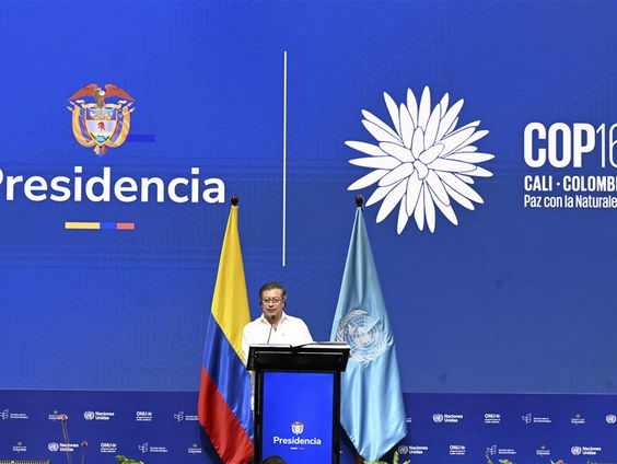 Stand.nl: 'Het is een schande dat Nederland het laat afweten op de biodiversiteitstop'