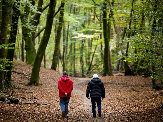 Huisvriend Rick Middelbos over reacreatie in het bos