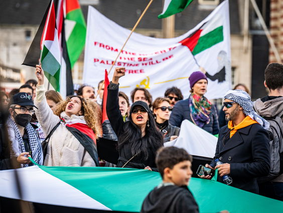 De toename van de beroepsdemonstrant