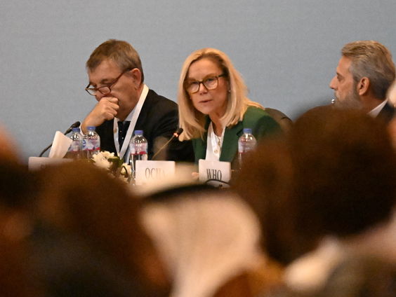 Kaag: Palestijnen kunnen geen dag langer wachten op een wapenstilstand, meer voedsel en hulp