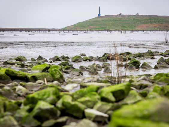 11 organisaties spannen rechtszaak aan tegen Staat om PFAS-verontreiniging terug te dringen