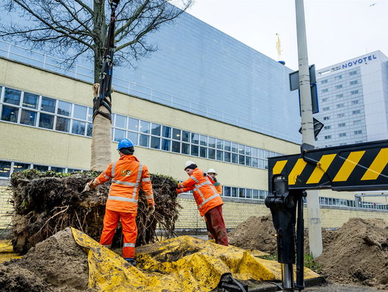 Groen in de stad wordt bedreigd