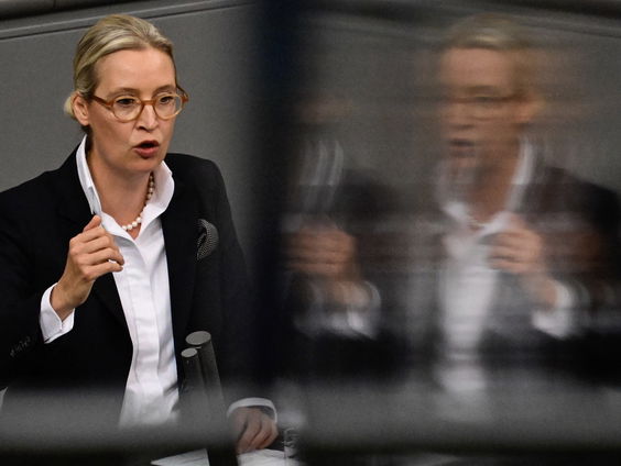 Elon Musk flirt met de Alternative für Deutschland